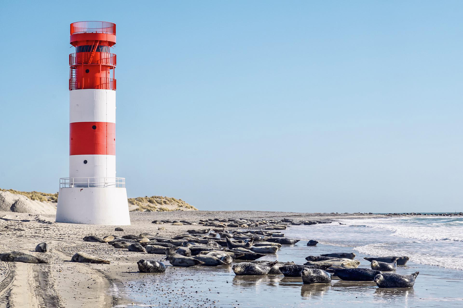 Rot weißer Leuchturm am Rande eines Strandes an der Nordsee
